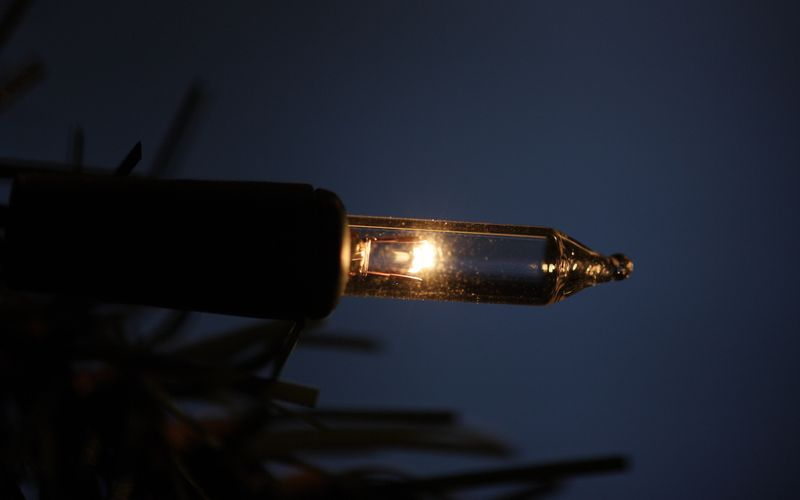 Illustration for article titled Photo Contest: Christmas Lights